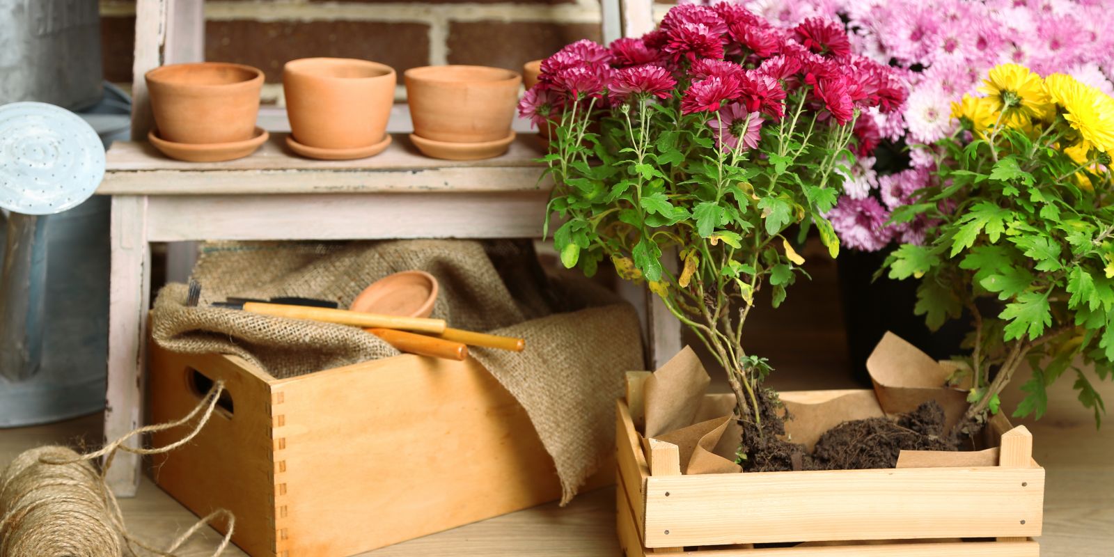 Nachhaltigkeit im Garten und auf dem Balkon: umweltfreundliche Pflanzenkübel