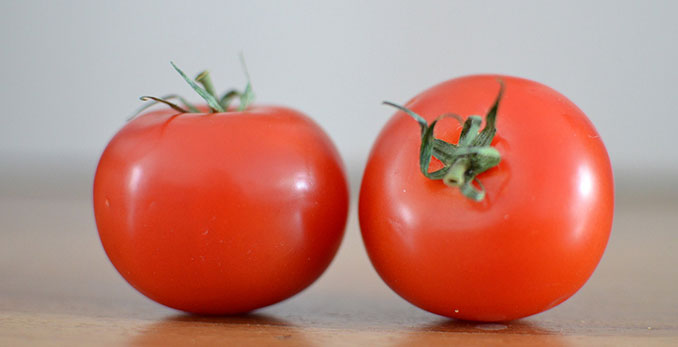 Neue Methode um Tomaten frisch und saftig zu importieren entdeckt